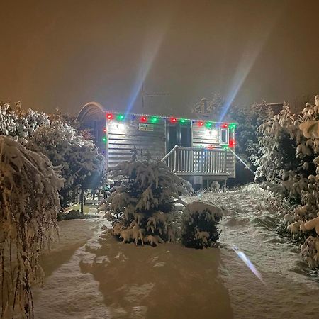 The Little John Petite Cosy Log Cabin - Sleeps 2, Great For Romantic Breaks, Couples, Single Guests, Near Sherwood Forest At Fairview Farm, Nottingham Set In 88 Acres Blidworth Экстерьер фото